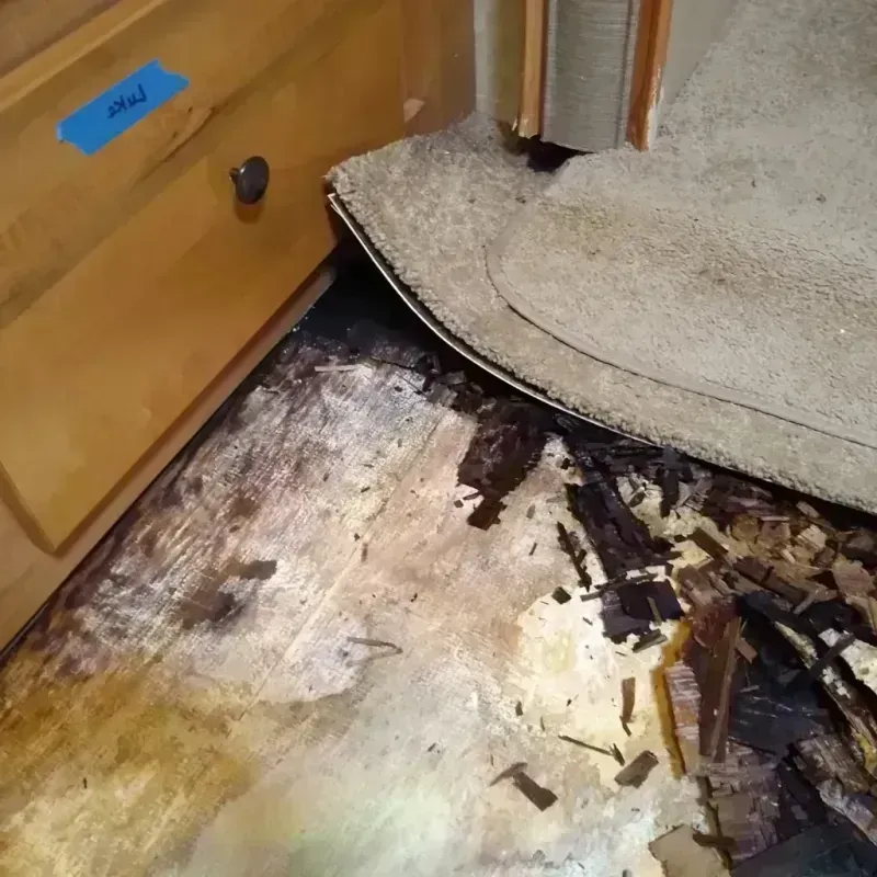 Wood Floor Water Damage in Othello, WA